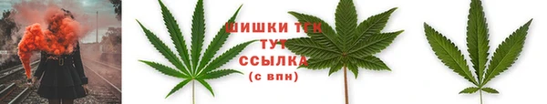 шишки Арсеньев