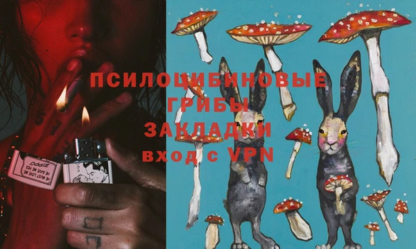 шишки Арсеньев